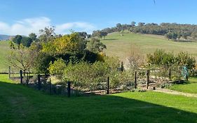 Mount Hope Estate Vineyard